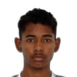 Pedro Victor da Silva Santos