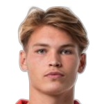 Joel van den Berg
