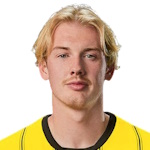 Julian Brandt