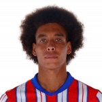Axel Witsel