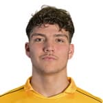 Tiago Pereira Cardoso