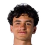 Emiliano Villaseñor